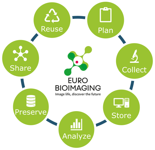 The Data LifeCycle following the FAIR Image standards