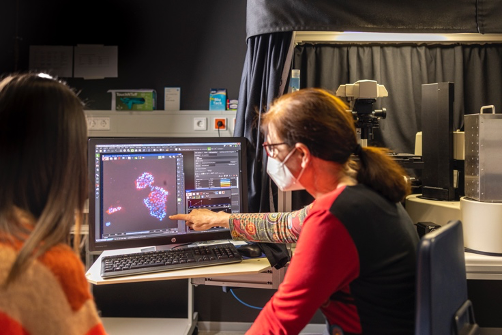 Chiara Cassioli and Faba (Beate Neumann) look at images acquired by using the high-throughput microscope at EMBL’s ALMF. Photo copyright EMBL PhotoLab/Massimo Del Prete.